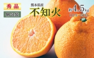 熊本県産 不知火 秀品 約 4.5kg（12玉～20玉） | フルーツ 果物 くだもの 柑橘 ミカン みかん 熊本県 玉名市