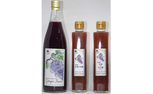 ぶどう農家浅桑園のこだわり巨峰のジュース&お酢セット 果汁飲料 野菜飲料 ぶどうジュース ブドウ たれ ドレッシング 果実酢  100492 - 愛知県日進市