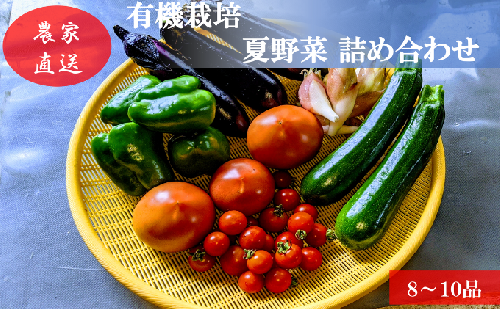 有機栽培 夏野菜 8～10品 詰め合わせ 群馬県産 東吾妻 有機JAS 認証取得 野菜セット 旬の野菜 夏野菜セット 食材 国産 お楽しみ 食品セット 食卓  1004952 - 群馬県東吾妻町