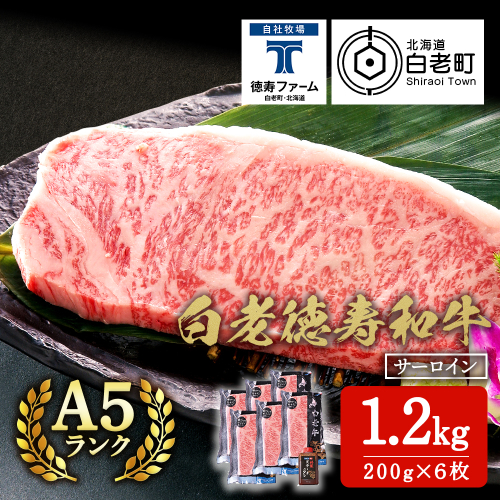白老牛 サーロイン ステーキ 200ｇ×6枚 （1.2kg） 特製ソース付き 和牛 牛肉 ギフト 北海道＜徳寿＞ 1005025 - 北海道白老町