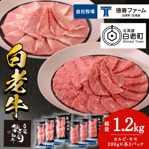 白老牛 焼肉 霜降り カルビ＆モモ セット 合計1.2kg（各600ｇ）特製焼肉のたれ付き 和牛 牛肉 北海道 ギフト ＜徳寿＞ 1005029 - 北海道白老町