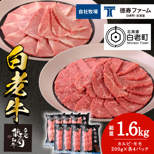 白老牛 焼肉 霜降り カルビ＆モモ セット 合計1.6kg（各800ｇ）特製焼肉のたれ付き 和牛 牛肉 北海道 ギフト ＜徳寿＞ 1005030 - 北海道白老町
