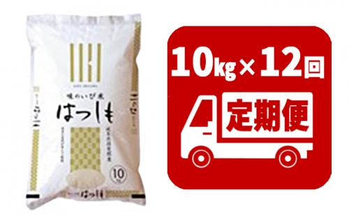 定期便　揖斐郡産  味のいび米はつしも精米10kg×12ヶ月 100542 - 岐阜県揖斐川町