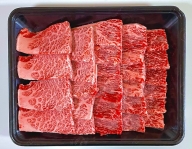 佐賀産和牛 焼き肉セット500g×1パック:B020-067