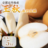 【先行予約／数量限定200】農家直送 秋の王様 「王秋」5kg（概ね7玉～12玉）（2026年11月上旬～発送）