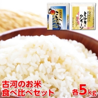 令和5年産 古河のお米食べ比べセット（コシヒカリ・ミルキークイーン）計10kg_DP04 ◇