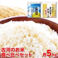 令和5年産 古河のお米食べ比べセット（ミルキークイーン・にじのきらめき）計10kg_DP06 ◇