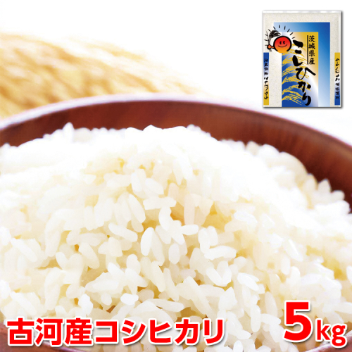 【新米】令和7年産 古河産コシヒカリ（5kg）| 米 こめ コメ 5キロ こしひかり コシヒカリ 古河市産 茨城県産 贈答 贈り物 プレゼント 茨城県 古河市 直送 産地直送 送料無料 ※2025年9月上旬頃より順次発送予定 _DP07 1005870 - 茨城県古河市