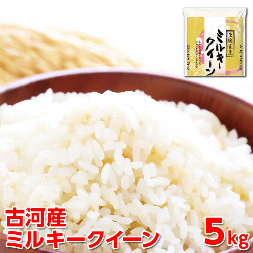 【新米】令和7年産 古河産ミルキークイーン（5kg） | 米 こめ コメ 5キロ ミルキークイーン みるきーくいーん 古河市産 茨城県産 贈答 贈り物 プレゼント 茨城県 古河市 直送 産地直送 送料無料 ※2025年9月中旬頃より順次発送予定 _DP08 1005871 - 茨城県古河市