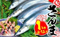 秋刀魚 約1㎏ 冷蔵 鮮サンマ 生