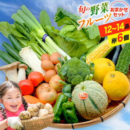 BE236 旬の野菜・フルーツ (12〜14品目)・卵 (6個) おまかせ セット【 野菜 果物 卵 やさい くだもの 果物 タマゴ たまご 詰め合わせ フードショップ江戸屋 長崎県 島原市 】 100592 - 長崎県島原市