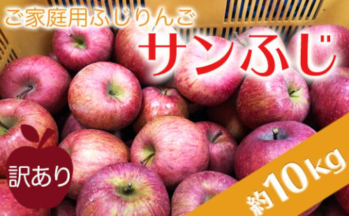 【2025年11月～12月発送】ご家庭用訳ありリンゴ（サンふじ）約10kg_H085(R7)