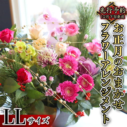 【 お正月 の お花 】 お花 おまかせ ＊ フラワー アレンジメント LL お正月 花 生花 縁起物 フラワーアレンジメント ギフト [CT054ci] 1006324 - 茨城県筑西市