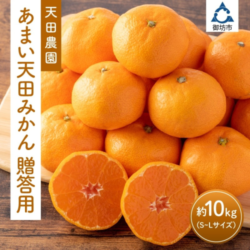 和歌山県　御坊市　あまい天田みかん　贈答用　10kg《先行予約》 1006463 - 和歌山県御坊市