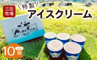 三田牧場　特製アイスクリーム10個セット