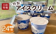 アイス 三田牧場 特製 アイスクリーム 20個 ＋おまけ4個 セット ミルク チョコレート いちごミルク ラムレーズン 抹茶 お菓子