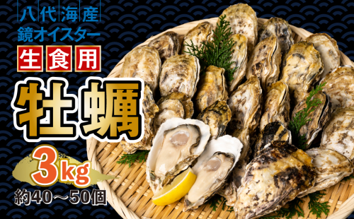 【先行予約】牡蠣 鏡オイスター 生食用 3kg 生かき 新鮮【2024年12月中旬より順次発送】 1006553 - 熊本県八代市