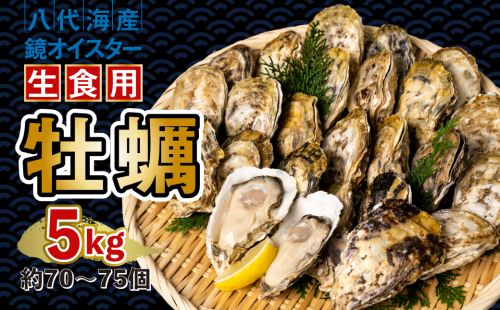 【先行予約】 牡蠣 鏡オイスター 生食用 5kg 生かき 新鮮【2024年12月中旬より順次発送】 1006556 - 熊本県八代市