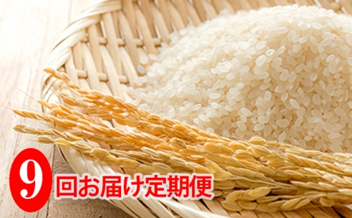 ◆9ヶ月連続定期便◆JAきょうわ米  ななつぼし5kg 100655 - 北海道共和町