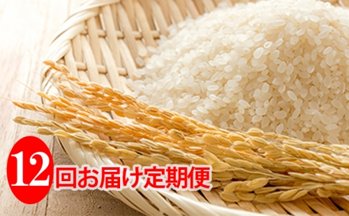 米 定期便 12ヶ月 ななつぼし 5kg JAきょうわ米 お米 白米