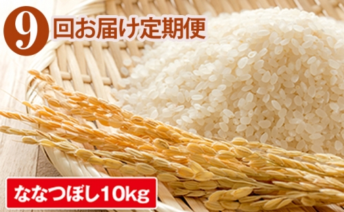 ◆9ヶ月連続定期便◆JAきょうわ米  ななつぼし10kg 100659 - 北海道共和町