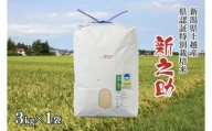 令和5年産／新潟県上越産ブランド米「新潟県認証特別栽培米・新之助」精米3kg