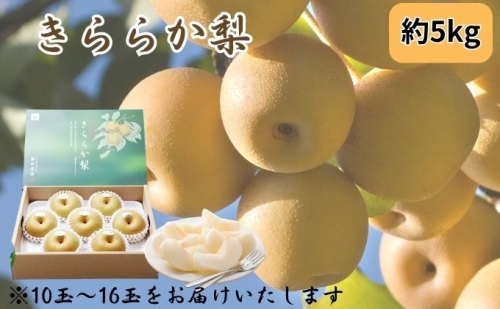 藤岡さんが作ったきららか梨(幸水・豊水)約5kg  フルーツ なし 果物 1006762 - 富山県射水市