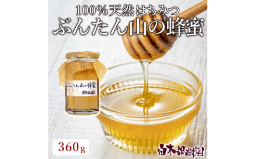 爽やかな香り広がる100%天然蜂蜜 ぶんたん山の蜂蜜 360g 【白木果樹園】 1007060 - 高知県土佐市