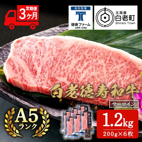 【定期便3カ月】 白老牛 サーロイン ステーキ 200g×6枚 （1.2kg） 特製ソース付き 和牛 牛肉 ギフト 北海道 ＜徳寿＞ 1007272 - 北海道白老町