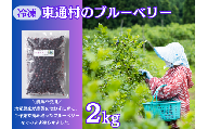 【A-01-07】冷凍ブルーベリー（2㎏）