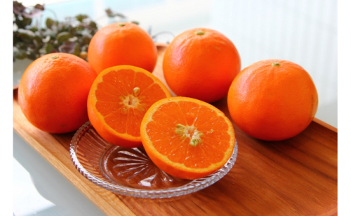 ZS6138n_主井農園 高級 セミノール 赤秀 2.5kg 1007524 - 和歌山県湯浅町