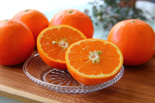 ZS6139n_主井農園 高級 セミノール 青秀 2.5kg 1007534 - 和歌山県湯浅町