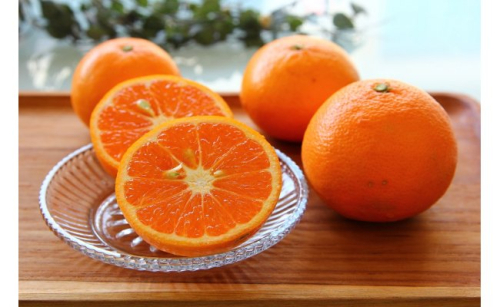 ZS6141n_主井農園 高級 カラマンダリン 赤秀 2.5kg 1007577 - 和歌山県湯浅町