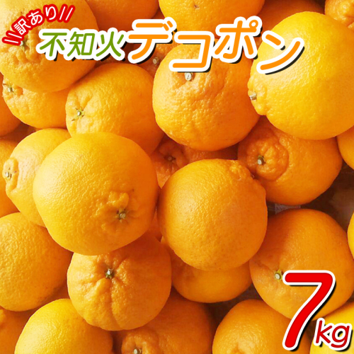 ＼光センサー選別／ 【訳あり】ちょこっと訳あり不知火デコポン 約7kg【ご家庭用】 先行予約 訳あり デコポン みかん ※2025年2月中旬～4月中旬に発送予定（お届け日指定不可）【nuk120B】 100845 - 和歌山県北山村