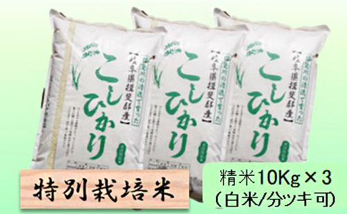 特別栽培米★精米30kg（白米/5分/7分ツキ可）【コシヒカリ】 玄米は別に出品 1009071 - 岐阜県池田町