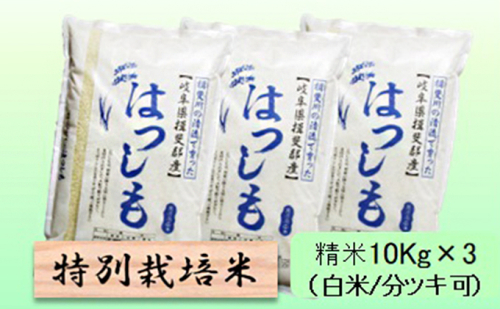 特別栽培米★精米30kg（白米/5分/7分ツキ可）【ハツシモ】 玄米は別に出品 1009073 - 岐阜県池田町