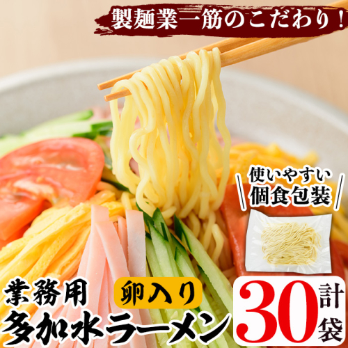 業務用麺 卵入り多加水ラーメン(計30袋)ラーメン 拉麺 中華麺 冷やし中華 冷麺 つけ麺 つけめん 個食包装 個包装 小分け 冷凍 製麺 生麺【福永食品】akn005-07 1009181 - 鹿児島県阿久根市