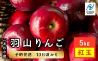 《2024年10月中旬以降発送》羽山のりんご　紅玉5kg【羽山果樹組合】