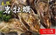 天然岩牡蠣（加熱食用）大サイズ5個入　
