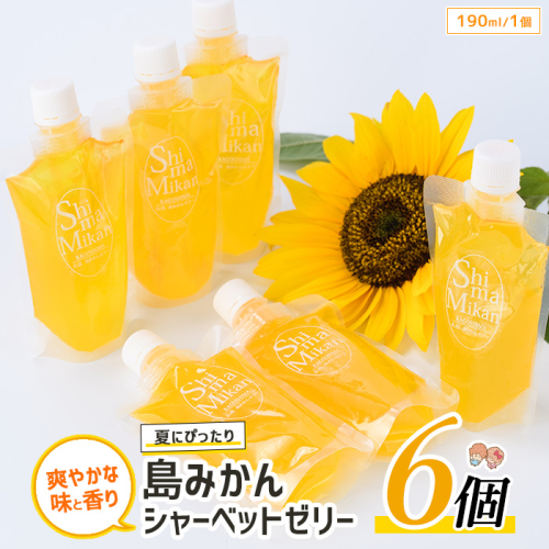 長島の島みかんシャーベットゼリー(6個)【レガーレ・ワキタ】waki-7327 1009275 - 鹿児島県長島町