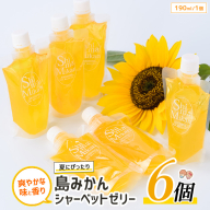 長島の島みかんシャーベットゼリー(6個)[レガーレ・ワキタ]waki-7327