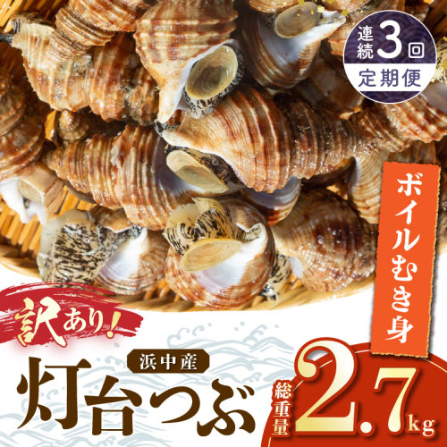 【訳あり】＜全3回・連続＞灯台つぶ定期便【総重量2.7kg】_H0023-059 1009409 - 北海道浜中町