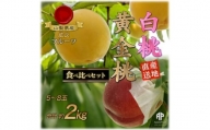 山梨市産　白桃と黄金桃の食べ比べセット　約2kg(5～8玉)【1431881】