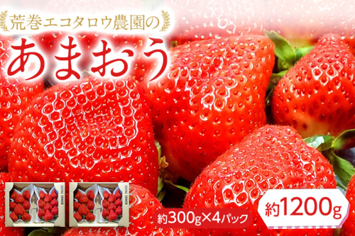 荒巻エコタロウ農園のあまおう約300g×4パック(約1200g)　BJ04 1009787 - 福岡県大木町