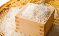 小諸産　こしひかり　2.5kg 長野 信州 コシヒカリ 精米 美味しいお米 お取り寄せ