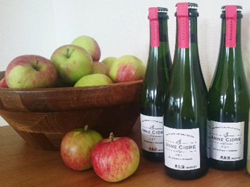 小諸産りんごの発泡酒 シードル３本セット お酒 プレゼント おしゃれ 辛口 信州 長野 お土産 ご当地 お取り寄せ お酒／ワイン 洋酒 アップル リンゴ スパークリングワイン  100990 - 長野県小諸市