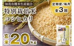 【ふるさと納税】【定期便 3回 毎月 お届け】 特別栽培米 コシヒカリ 玄米 20kg （5kg×4） 従来品種 従来コシヒカリ お米 米 加茂有機米