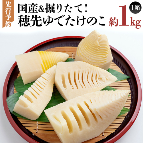 《 先行予約 》 掘りたて 穂先 ゆでたけのこ 約1kg 【 2026年 4月中旬 以降発送 】 野菜 春 旬 期間限定 数量限定 国産 産地直送 箱 真空パック 個包装 茹で 筍 タケノコ 竹の子 1010387 - 茨城県牛久市
