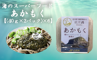 広田湾漁協からお届け！海のスーパーフードあかもく【(40ｇ×2パック)×6】