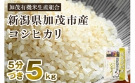 【令和5年産米】【5分づき】新潟県加茂市産 特別栽培米コシヒカリ 精米5kg 従来品種コシヒカリ 加茂有機米生産組合